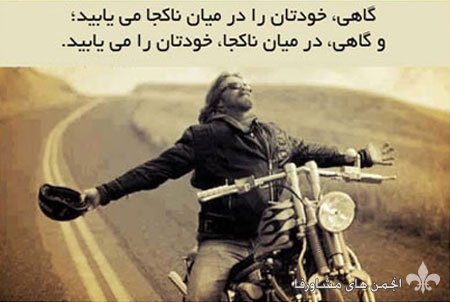 awww.beytoote.com_images_stories_fun_fu7169.jpg