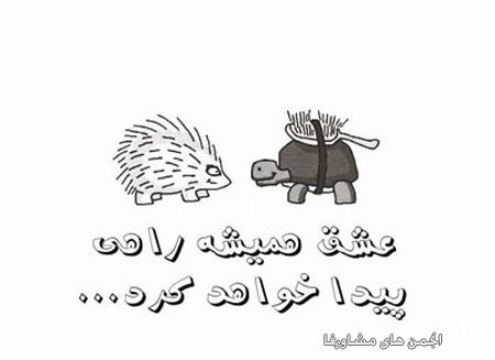 awww.beytoote.com_images_stories_fun_fu7170.jpg