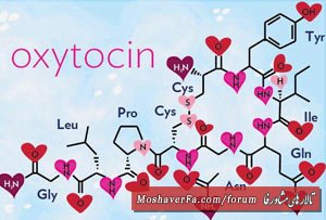 awww.beytoote.com_images_stories_scientific_hhs1798.jpg