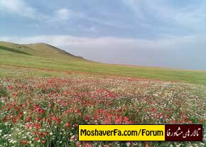 awww.beytoote.com_images_stories_iran_ir1060.jpg