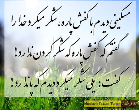 abde01787aff9b8e15f535cf45bc2674.jpg