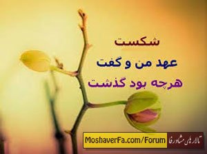 cfce8f0bea6e4440a8c470d267cb3430.jpg
