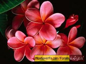 ab901baea240d328995b1629a5b8f24e.jpg