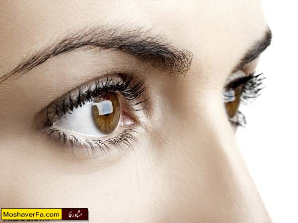 a021a2f5f49bca81dfbe8c60c404b391.jpg