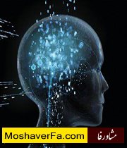 ad9d53b048e94f911b449dfd00dd6b46.jpg