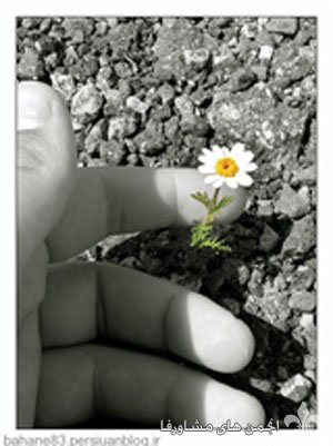 avista.ir_include_lifestyle_images_0a0d381d64637362ba16527bdfaeab75.jpg