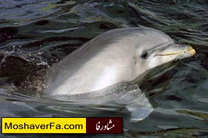 11daf5be4e317dea3516eda8237e484f.jpg