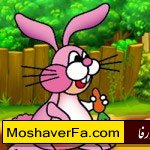 070f362c312655c97a63476feecd58cc.jpg