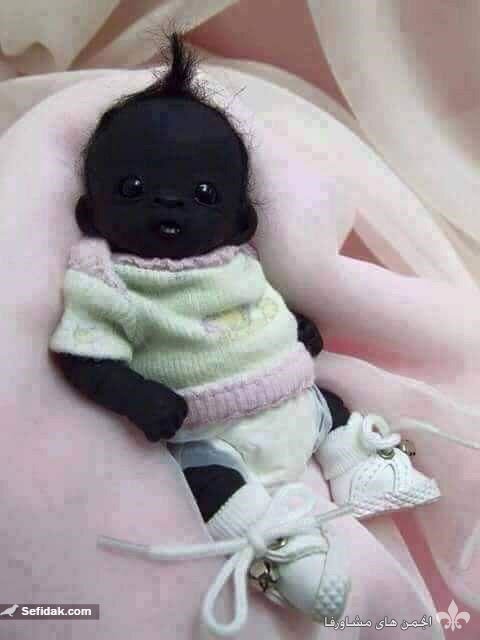 awww.sefidak.com_images_pic_all_7_3a61.jpg