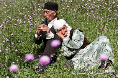 azoomnews.ir_fa_wp_content_uploads__D8_B3_D8_A7_D8_B3_D8_A7_D98ca039743d49ddb84125b0d1678594bb.jpg