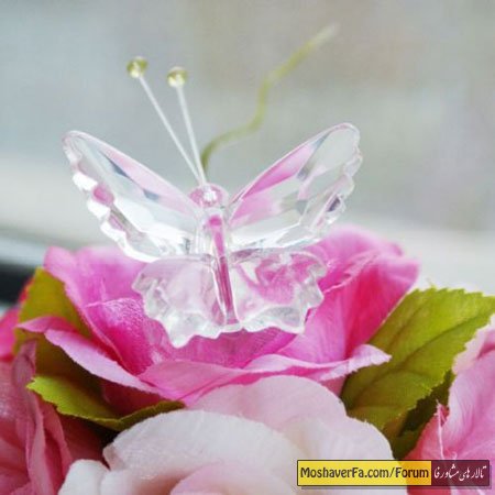 awww.beytoote.com_images_stories_housekeeping_hou7186.jpg