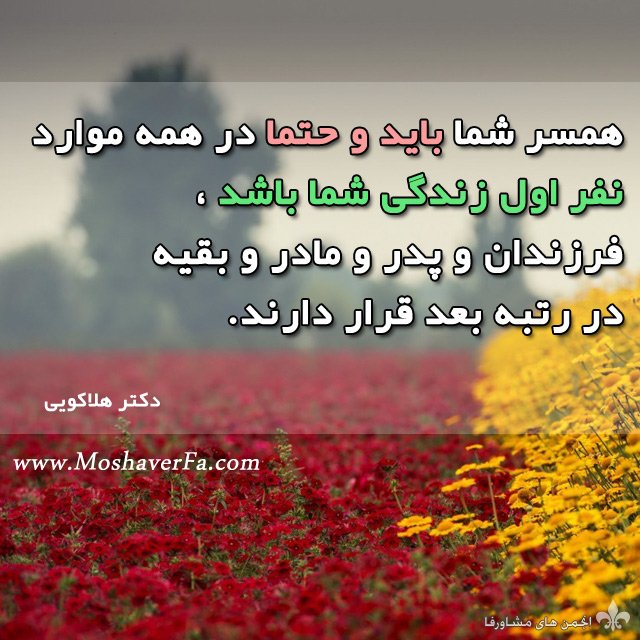 hamsar2.jpg