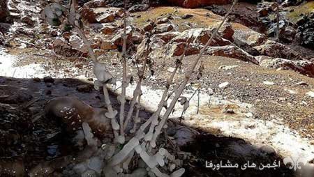 awww.beytoote.com_images_stories_iran_ir2673_12.jpg